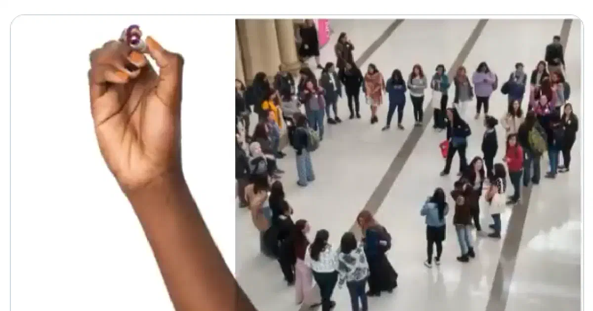 R-Ladies purple heart graphic from the 2019 year-end video