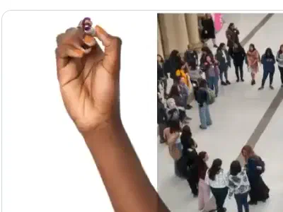 R-Ladies purple heart graphic from the 2019 year-end video